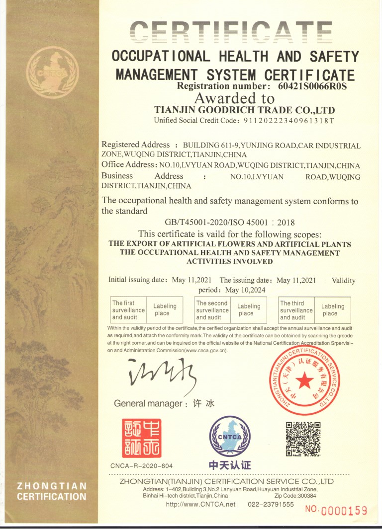 Certificate 3