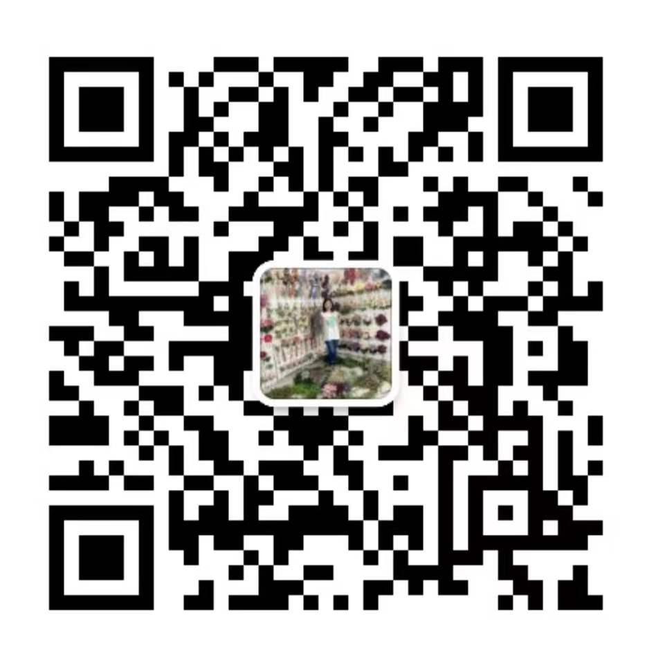 Wechat QR